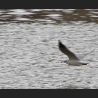 img_3724.jpg
