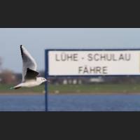 elbe024.jpg