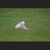 IMG_2063.JPG