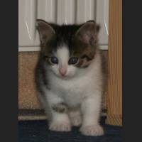 babys1298.jpg