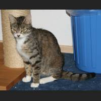 bild019.jpg