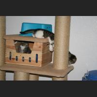 bild046.jpg