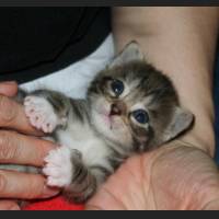 babys 121.jpg