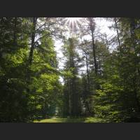 IMG_3653.jpg