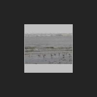 juist022_t.jpg