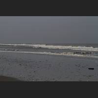 juist028.jpg