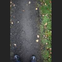 weg028.jpg