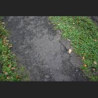weg033.jpg