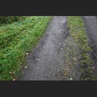 weg035.jpg