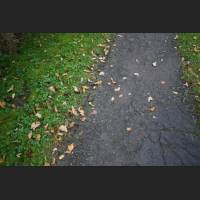 weg051.jpg