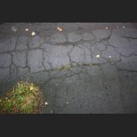 weg095.jpg