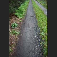 weg118.jpg