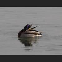 img_3258.jpg