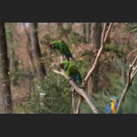 img_4719.jpg