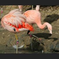 img_4875.jpg
