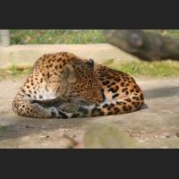 img_4927.jpg