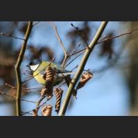 img_4968.jpg